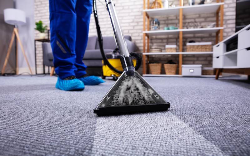 Learn essential carpet maintenance tips to keep your carpets looking fresh and lasting longer. From regular cleaning to stain removal techniques,