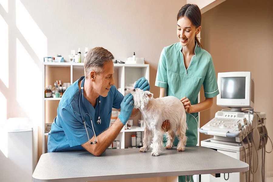 Veterinary Clinics