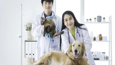 Animal Hospital