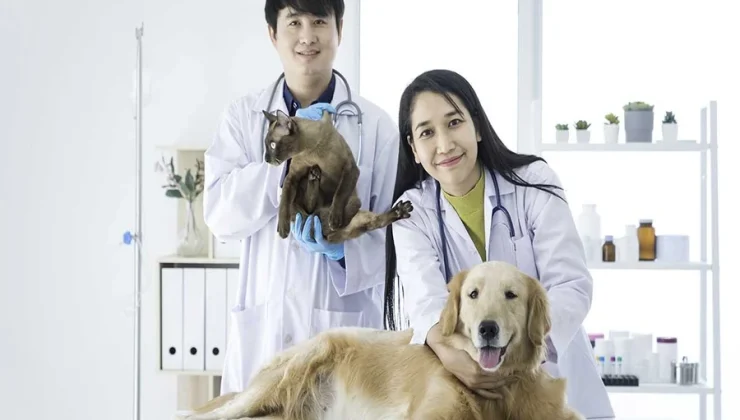 Animal Hospital