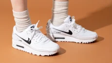 A Pair of Stylish Sneakers Could Be Considered a Because It is Not a Necessity.