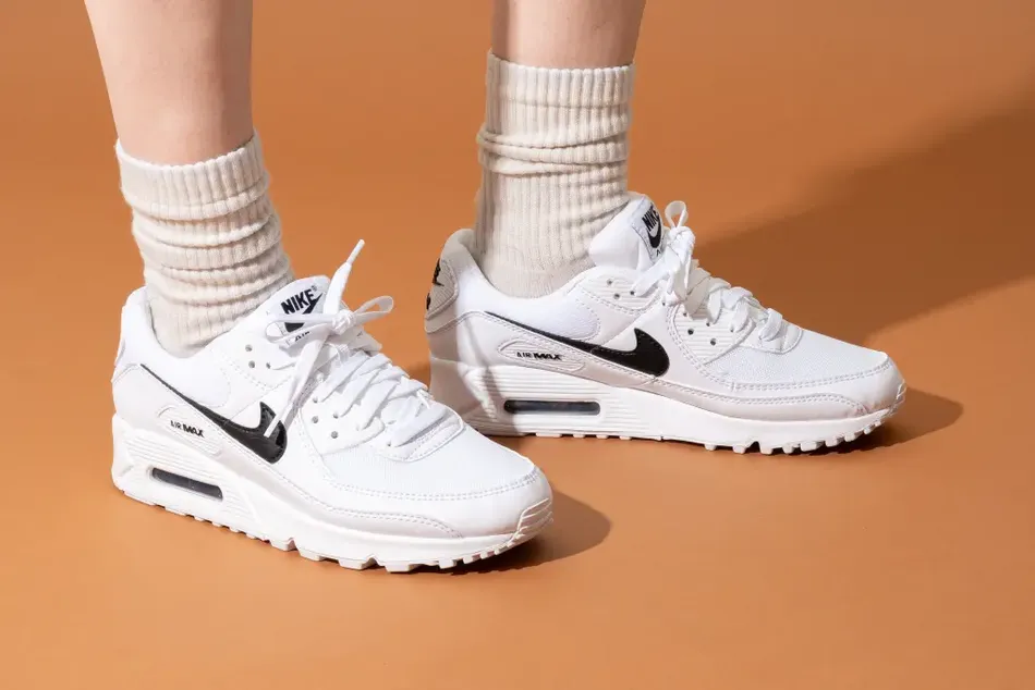 A Pair of Stylish Sneakers Could Be Considered a Because It is Not a Necessity.