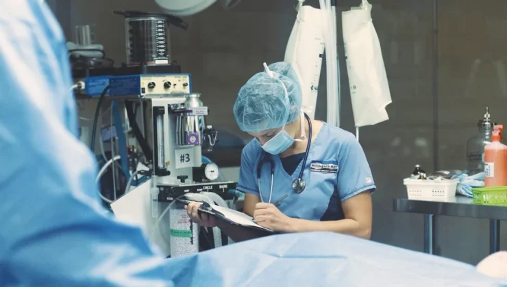 How Veterinary Hospitals Handle Complex Surgeries