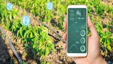 Smart Irrigating Systems