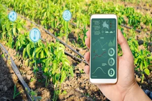 Smart Irrigating Systems to Efficiently Maintain Landscapes