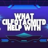What Cilfqtacmitd Help With