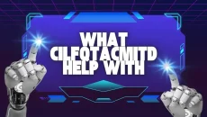 What Cilfqtacmitd Help With