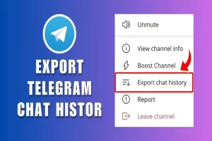 From Chats to Channels: The Evolution of Telegram