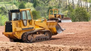 The Environmental Cost Of Land Clearing