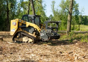 How Forestry Mulching Help To Manage Invasive Plant Species?