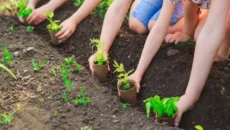 Gardening