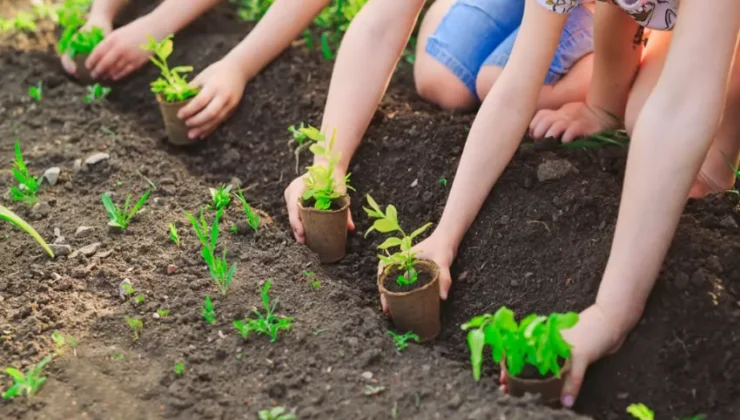 Gardening