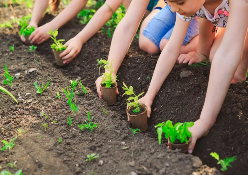 What Gardening Can Teach Children About Success